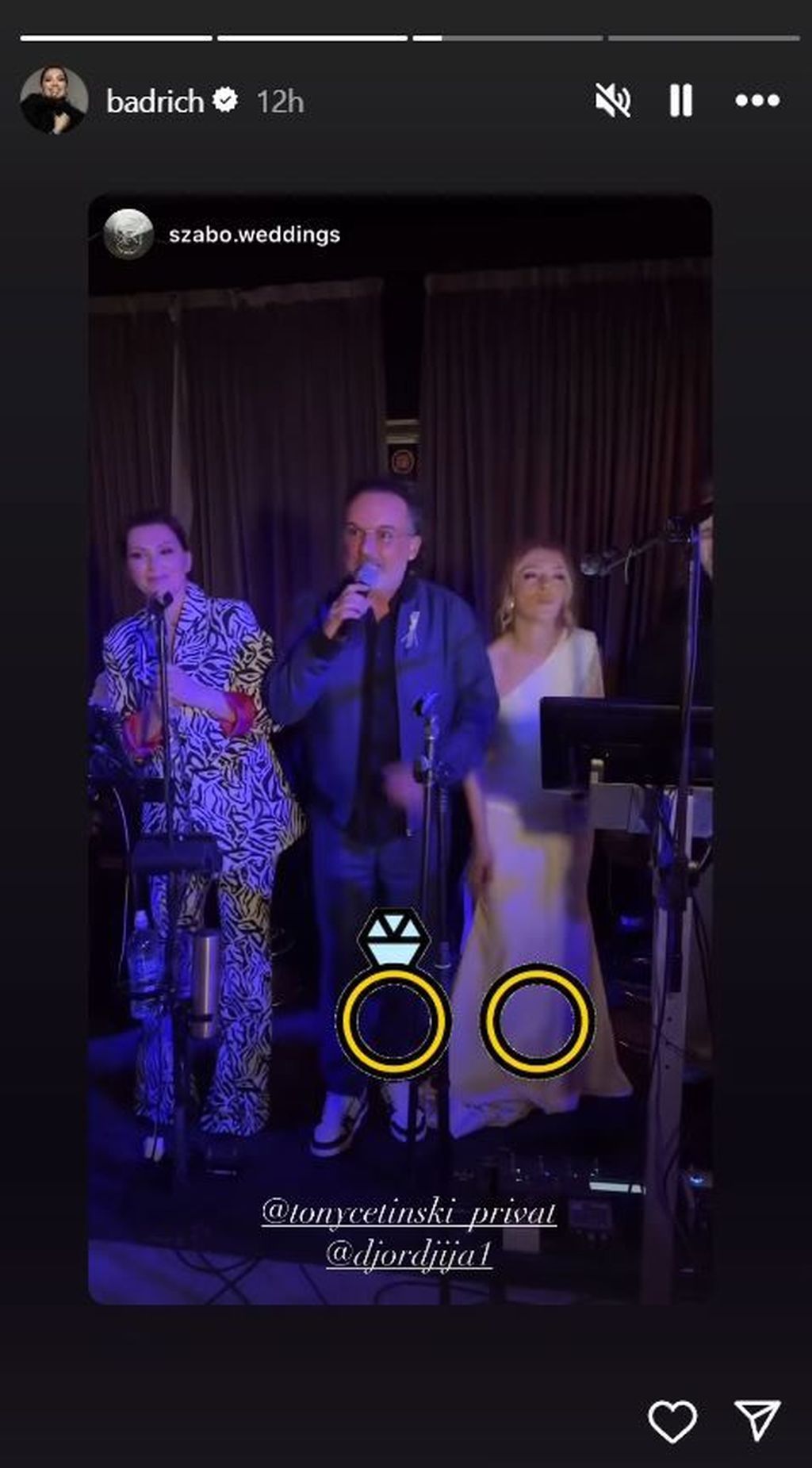 Nina Badrić, Djordjija Palić svadba