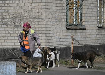 Ilustracija