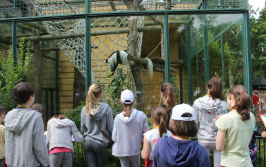 Program za školarce tijekom ljetnih praznika u zoo vrtu Zagreb