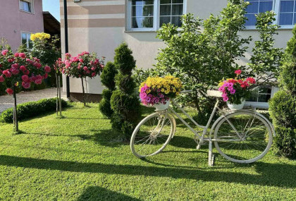 Medicinska sestra Marija Ričko ima najljepše dvorište u okolici Ludbrega - 8