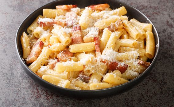 Pasta alla gricia